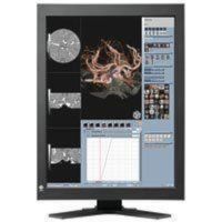 Siemens 10410753 RadiForce RX320 Monitor Color 21.3" 
