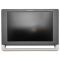 Siemens 10137903 Monitor Assembly, FPD, 20W(18), X300PE